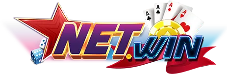 NetWin Logo
